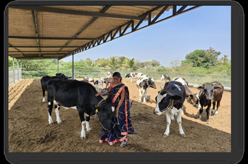 Abbott’s ‘Project Ksheersagar’ Reaches 12,000 Dairy Farmers, Boosts Milk Production by 55%